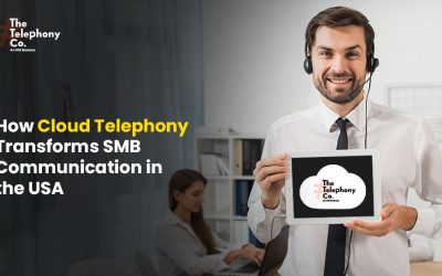 How Cloud Telephony Transforms SMB Communication in the USA 